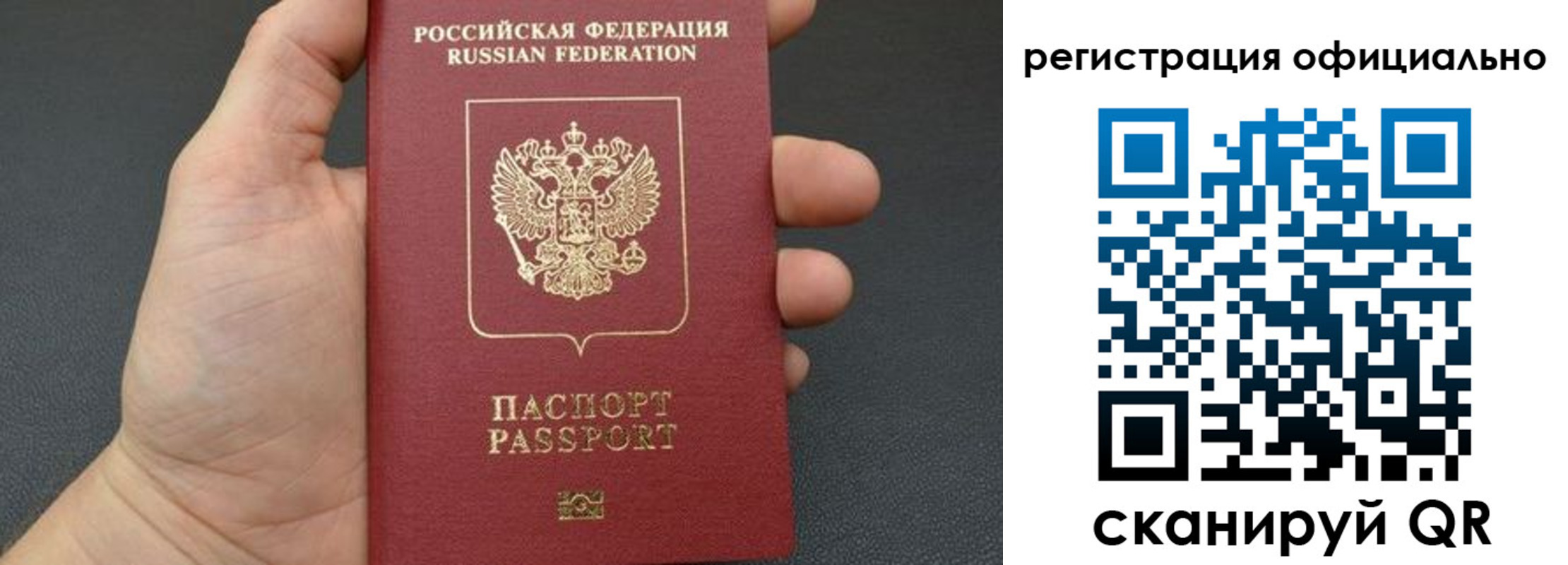 прописка в Купино